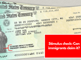 Stimulus check: Can immigrants claim it?