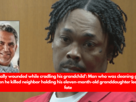 Fatally wounded while cradling his grandchild' Man who was cleaning gun when he killed neighbor holding his eleven-month-old granddaughter learns fate.png