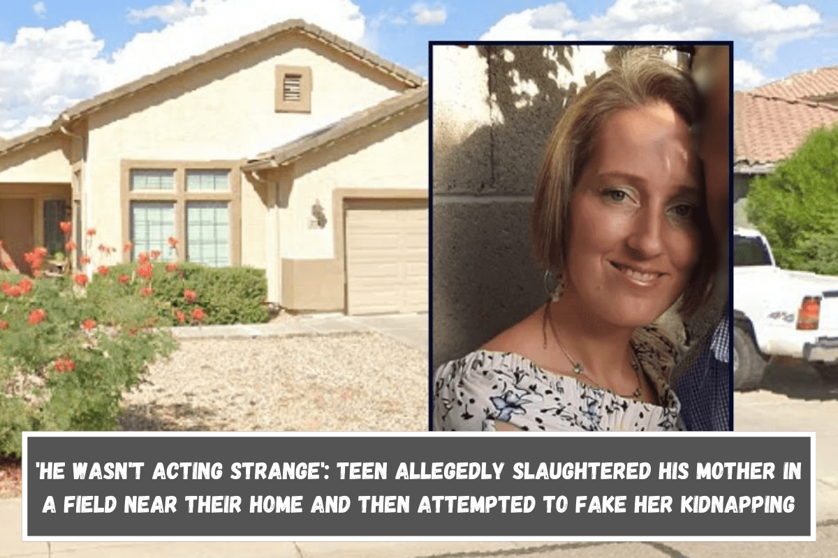 'He wasn't acting strange' Teen allegedly slaughtered his mother in a field near their home and then attempted to fake her kidnapping