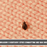 Insect Invasion 5 Kentucky Cities Combatting Bed Bug Onslaught