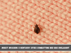 Insect Invasion 5 Kentucky Cities Combatting Bed Bug Onslaught