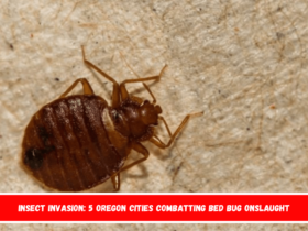 Insect Invasion 5 Oregon Cities Combatting Bed Bug Onslaught