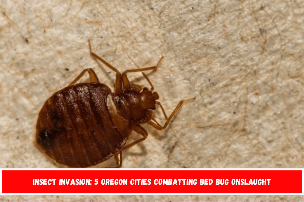 Insect Invasion 5 Oregon Cities Combatting Bed Bug Onslaught