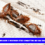 Insect Invasion 5 Wisconsin Cities Combatting Bed Bug Onslaught