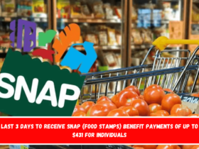 Last 3 days to receive SNAP (Food Stamps) benefit payments of up to $431 for individuals