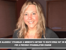 Man allegedly strangled a Minnesota mother to death while out on bail for a previous strangulation charge