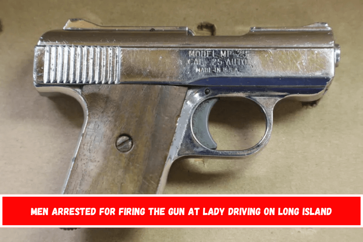 Men arrested for firing the gun at lady driving on Long Island