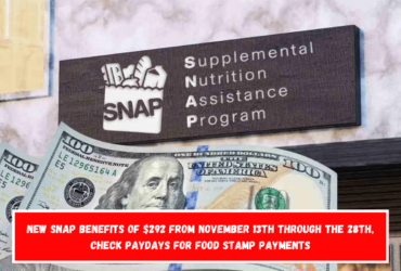 New SNAP benefits of $292 from November 13th through the 28th, check paydays for Food Stamp payments