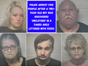 Police arrest five people after a two-year-old boy was discovered 'unclothed' in a 'caged area' littered with feces