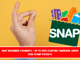 SNAP November Payments – Up to $292 starting tomorrow, check food stamp paydays