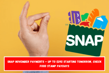 SNAP November Payments – Up to $292 starting tomorrow, check food stamp paydays