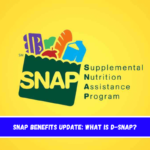 SNAP benefits update What is D-SNAP