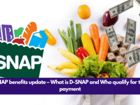 SNAP benefits update – What is D-SNAP and Who qualify for the payment