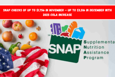 SNAP checks of up to $1,756 in November – up to $3,516 in December with 2025 COLA increase