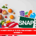 SNAP payments worth up to $1,756 from November 7 through November 14