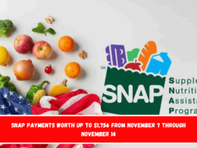 SNAP payments worth up to $1,756 from November 7 through November 14