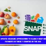 SNAP update Deadline approaching to claim D-SNAP benefit payments in these 7 counties in the USA