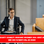 Social Security Disability Insurance November 2024 Here’s when the new SSDI payments will be issued