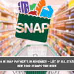 Up to $1,756 in SNAP payments in November – List of U.S. states sending new food stamps this week