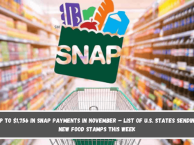 Up to $1,756 in SNAP payments in November – List of U.S. states sending new food stamps this week