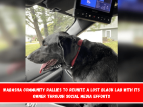 Wabasha community rallies to reunite a lost black lab with its owner through social media efforts