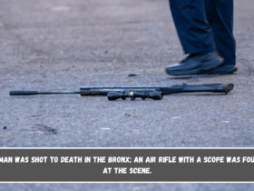 A man was shot to death in the Bronx; an air rifle with a scope was found at the scene.