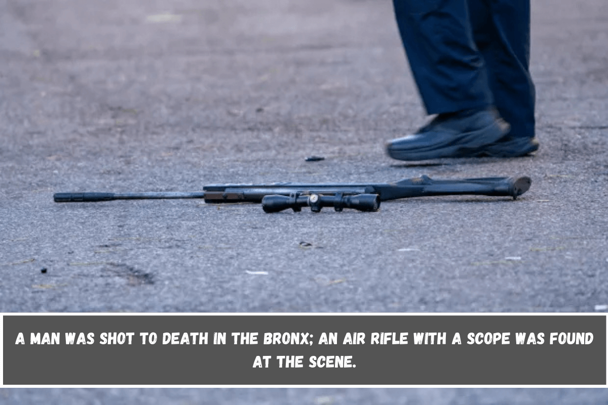 A man was shot to death in the Bronx; an air rifle with a scope was found at the scene.