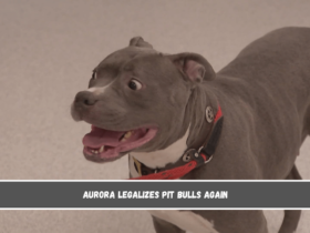 Aurora legalizes pit bulls again