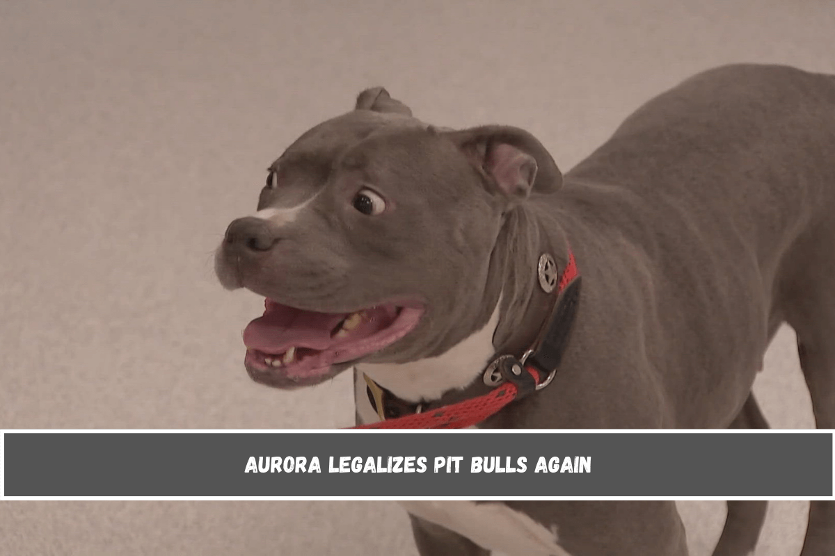 Aurora legalizes pit bulls again