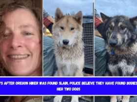 Days After Oregon Hiker Was Found Slain, Police Believe They Have Found Bodies of Her Two Dogs