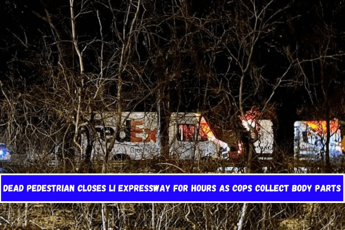 Dead pedestrian closes LI Expressway for hours as cops collect body parts