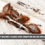 Insect Invasion 5 Illinois Cities Combatting Bed Bug Onslaught