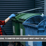 Is It Illegal to Dumpster Dive in Hawaii Here’s What the Law Says