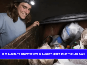 Is It Illegal to Dumpster Dive in Illinois Here’s What the Law Says