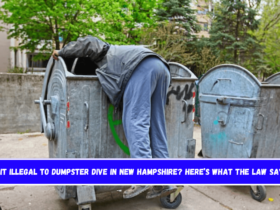 Is It Illegal to Dumpster Dive in New Hampshire Here’s What the Law Says