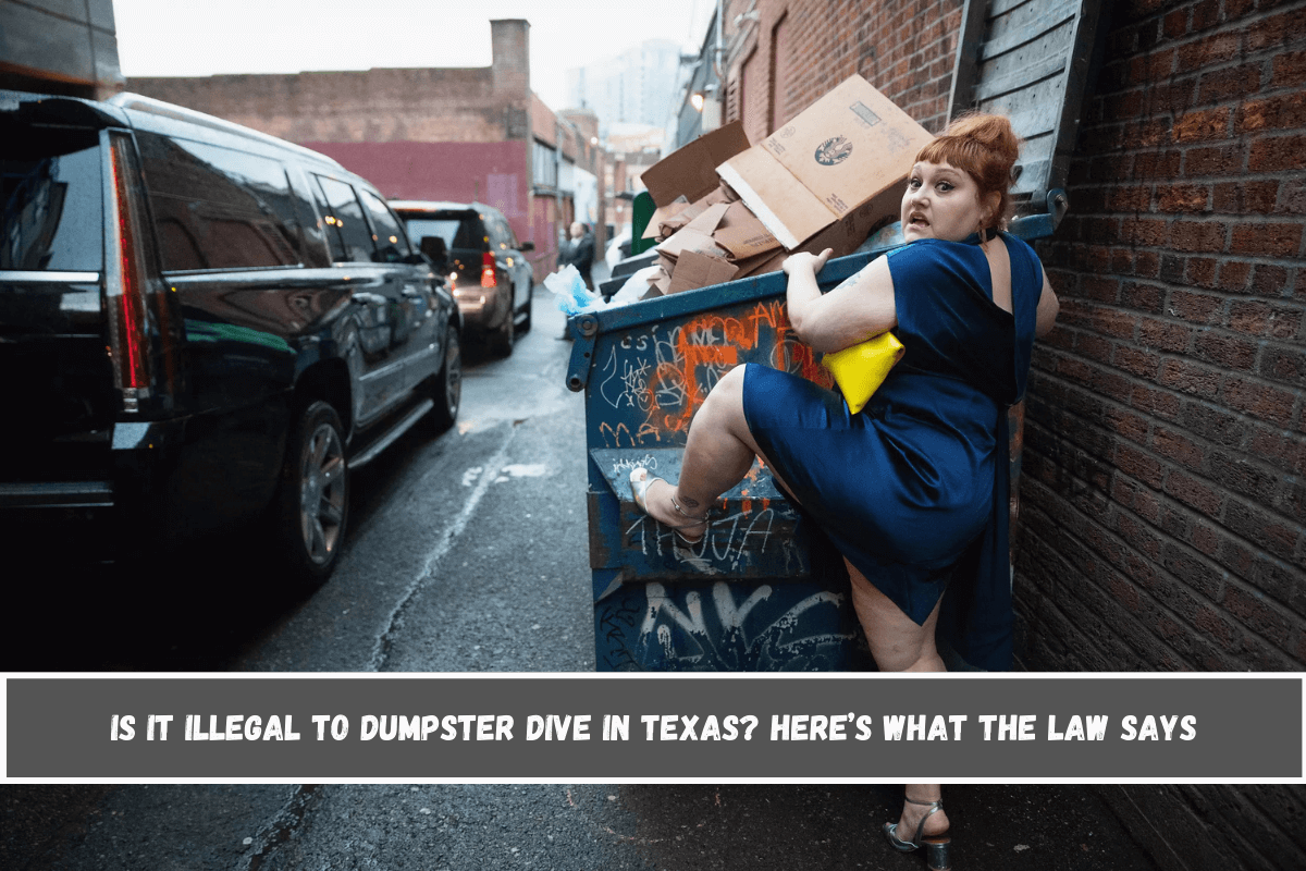 Is It Illegal to Dumpster Dive in Texas Here’s What the Law Says