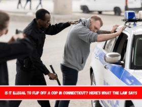 Is It Illegal to Flip Off a Cop in Connecticut Here's What the Law Says