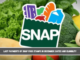 Last payments of SNAP Food Stamps in December dates and eligibility