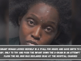 Pregnant woman locked herself in a stall for hours and gave birth to her baby,