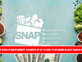 SNAP (Food Stamps) benefit payments of up to $292 to be issued in less than 10 days