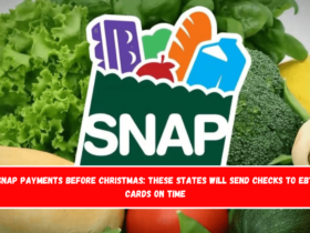 SNAP payments before Christmas These states will send checks to EBT cards on time