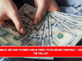 Stimulus and SNAP payment rain in these states before Christmas — Check the full list