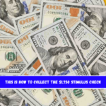 This is how to collect the $1,750 stimulus check