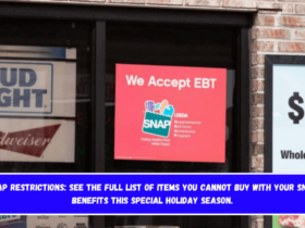 SNAP Restrictions See the full list of items you cannot buy with your SNAP benefits this special holiday season.