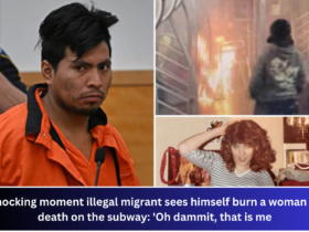 Shocking moment illegal migrant sees himself burn a woman to death on the subway 'Oh dammit, that is me